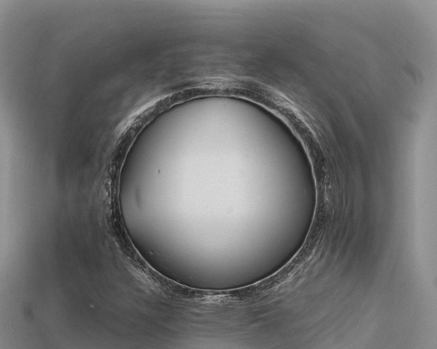 X0000113221304200909171546