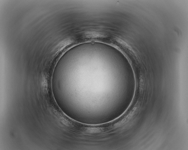 X0000113221305200909171546