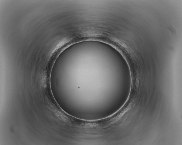 X0000113221306200909171546