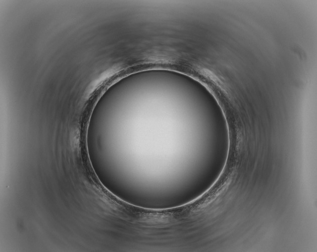 X0000113221307200909171546