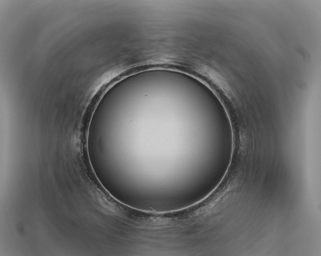 X0000113221308200909171546