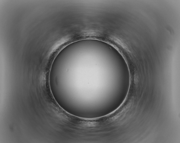 X0000113221309200909171546