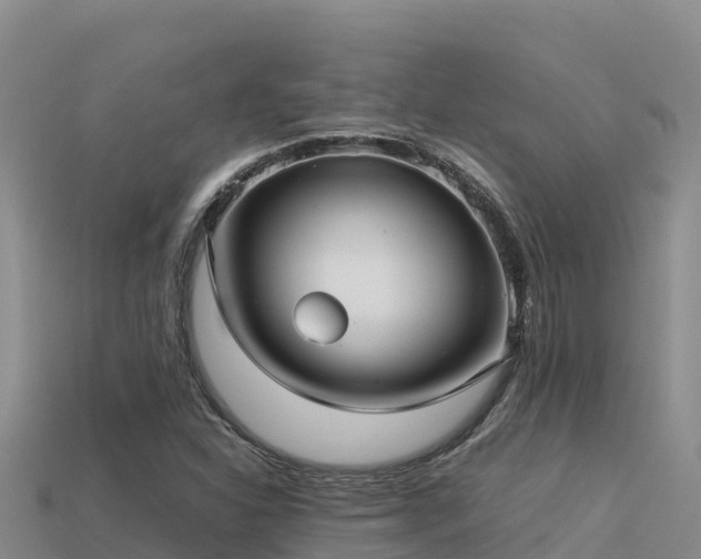 X0000113221310200909171547