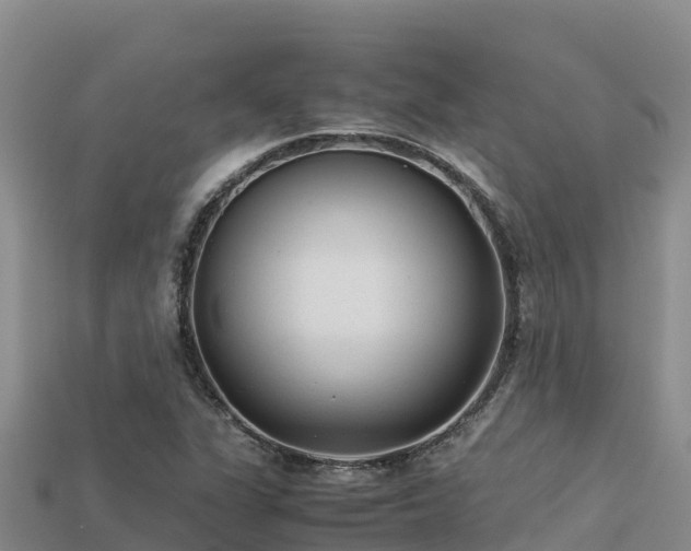 X0000113221311200909171547