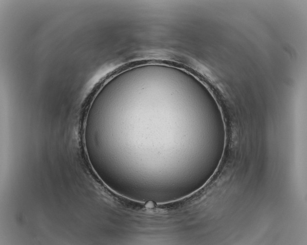 X0000113221312200909171547