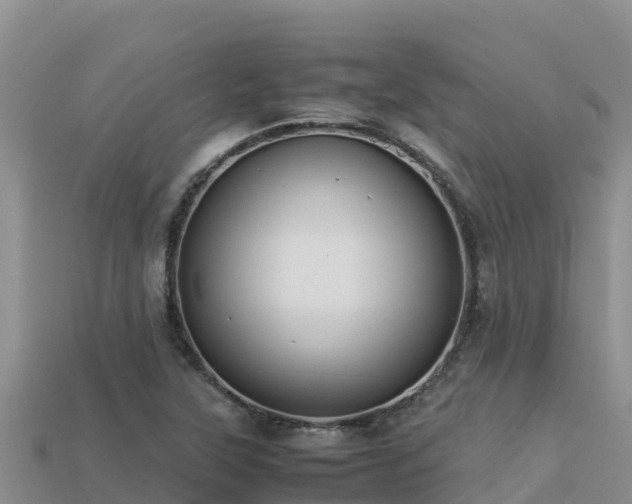 X0000113221315200909171547