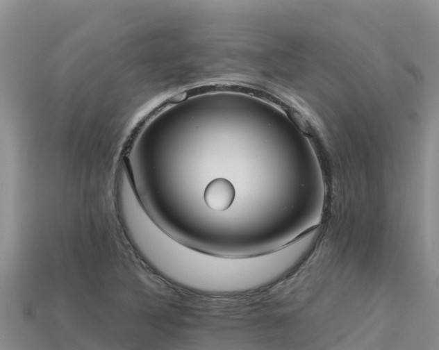 X0000113221316200909171547