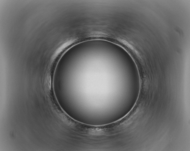 X0000113221317200909171547