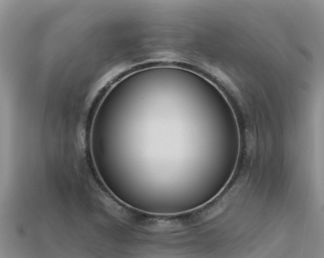 X0000113221318200909171547