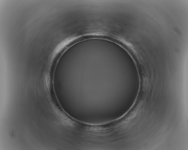 X0000113221319200909171547