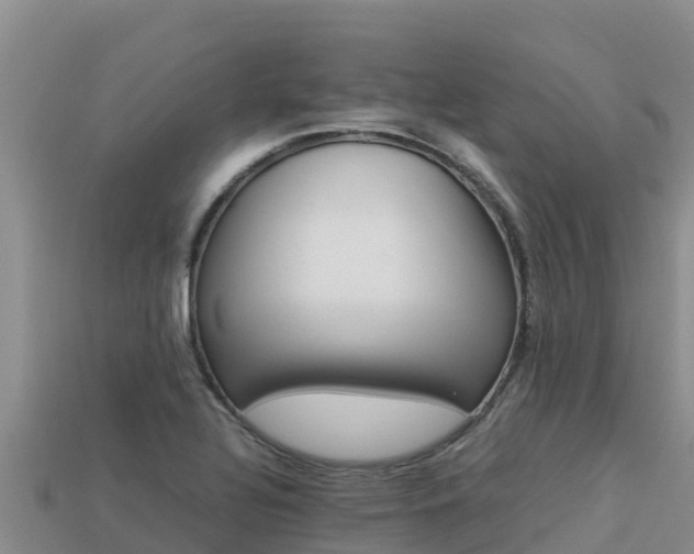 X0000113221320200909171547