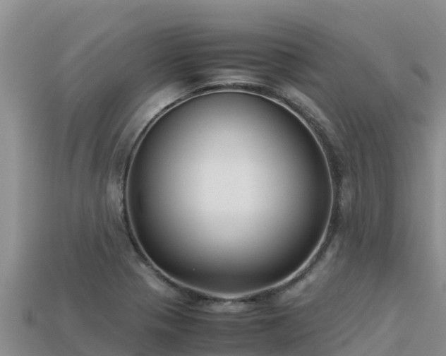 X0000113221321200909171547