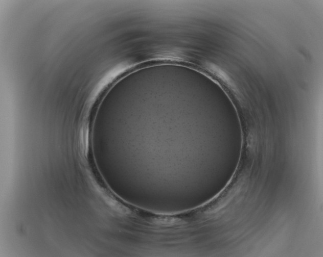 X0000113221323200909171547