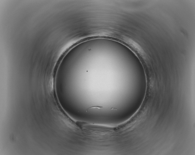 X0000113221324200909171547