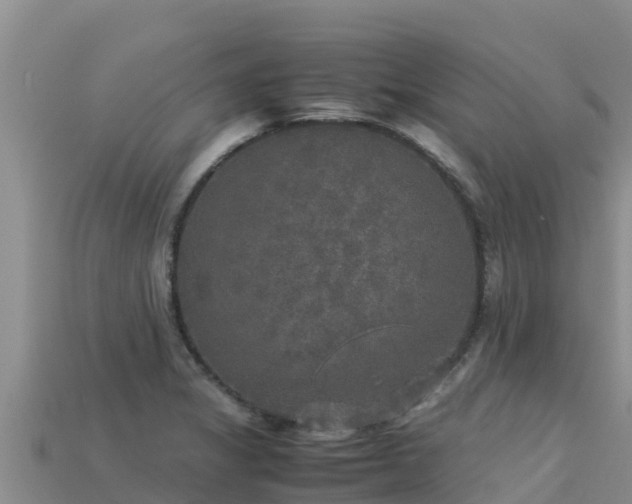 X0000113221325200909171547