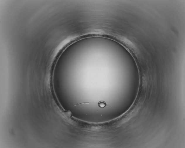 X0000113221326200909171547