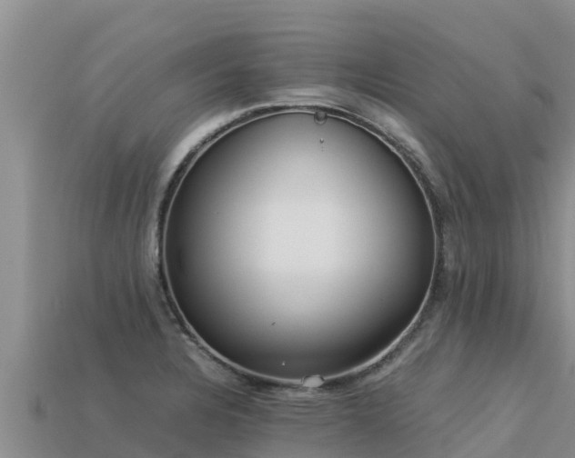 X0000113221328200909171547