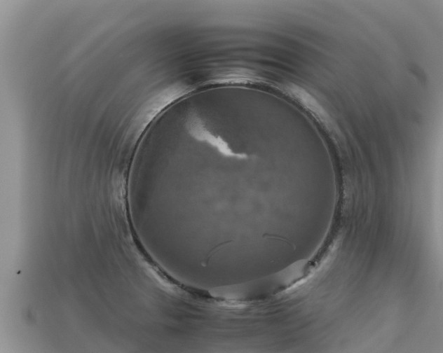 X0000113221329200909171547