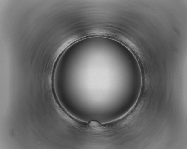 X0000113221330200909171547