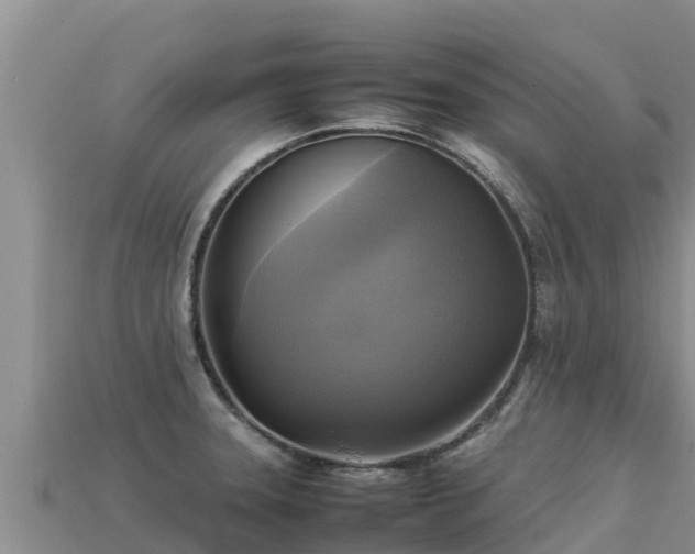 X0000113221331200909171547