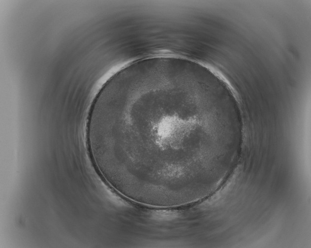 X0000113221333200909171547