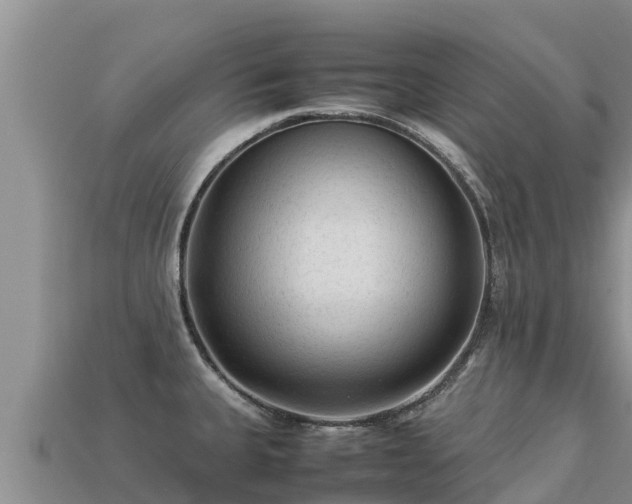 X0000113221335200909171547