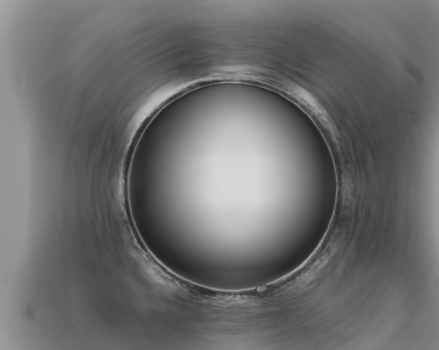 X0000113221336200909171547