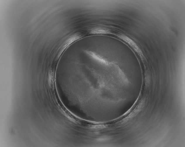 X0000113221337200909171547