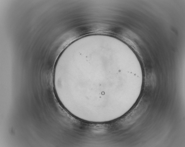 X0000113221338200909171547