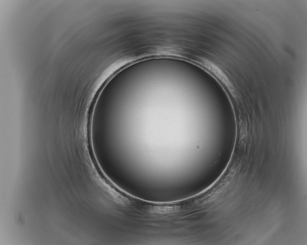 X0000113221339200909171547