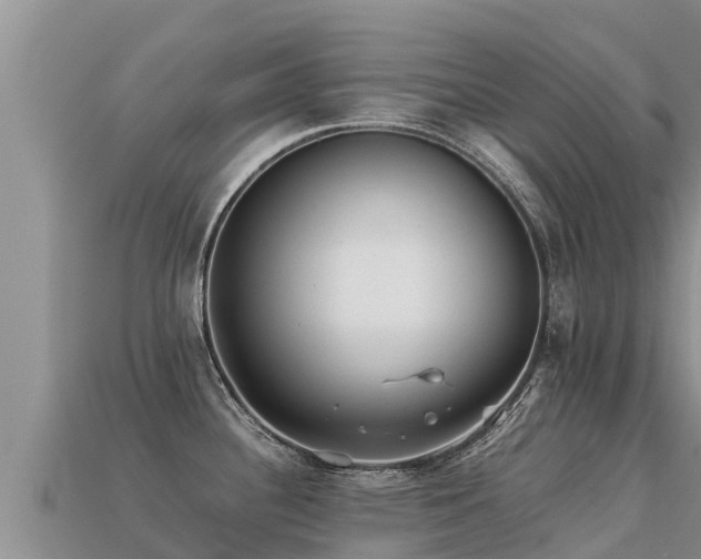 X0000113221340200909171547