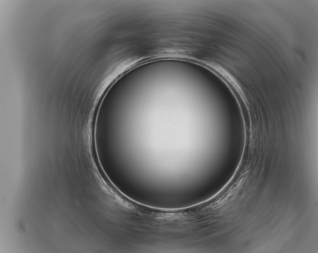 X0000113221341200909171547