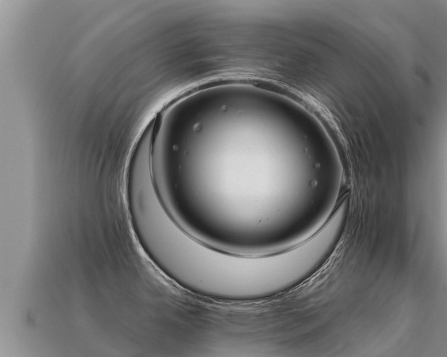 X0000113221342200909171547