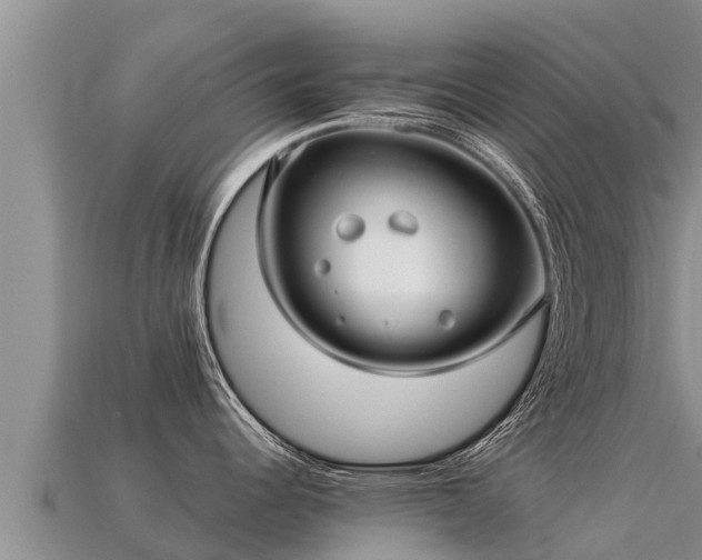 X0000113221344200909171547