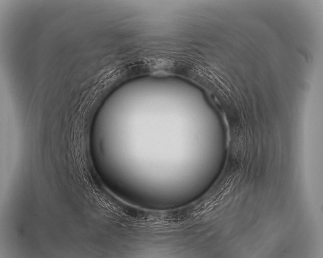 X0000113221345200909171546