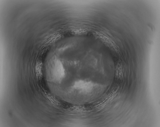 X0000113221346200909171546