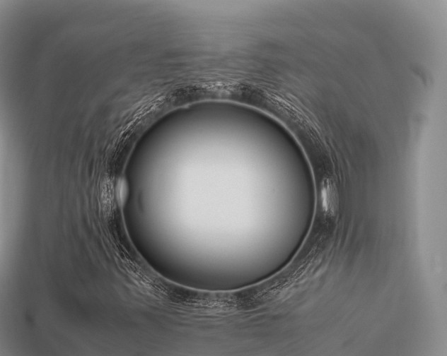 X0000113221347200909171546