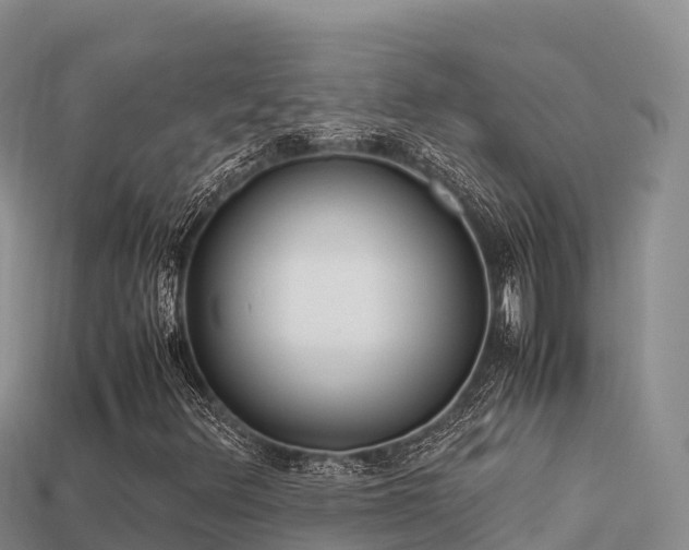 X0000113221348200909171546