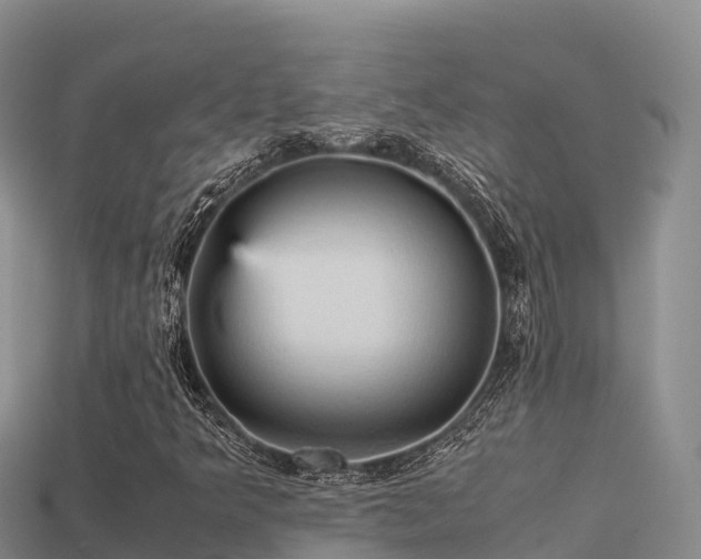 X0000113221349200909171546