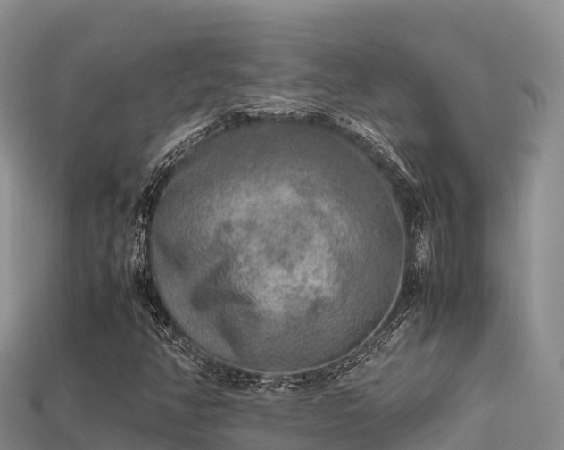 X0000113221350200909171546