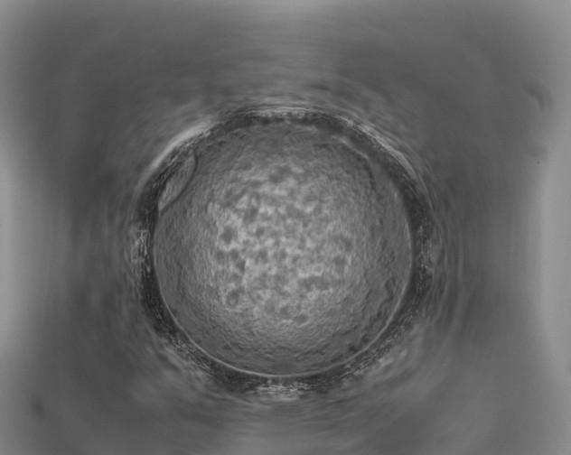 X0000113221351200909171546