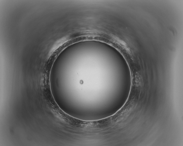 X0000113221352200909171546