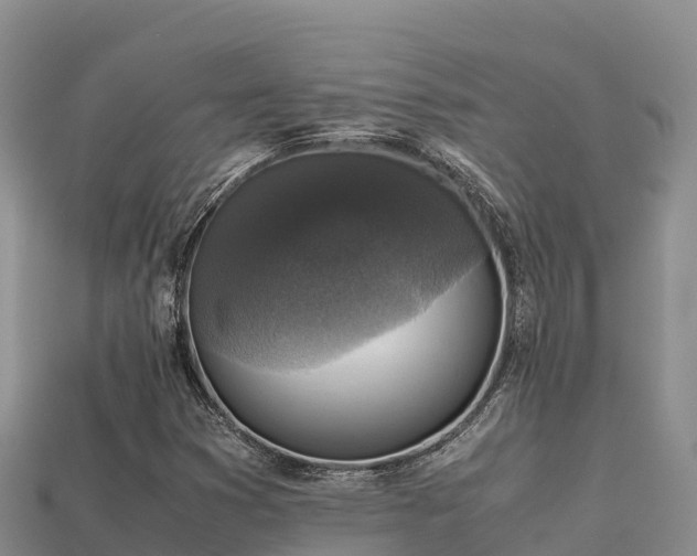 X0000113221353200909171546