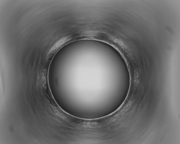 X0000113221354200909171546