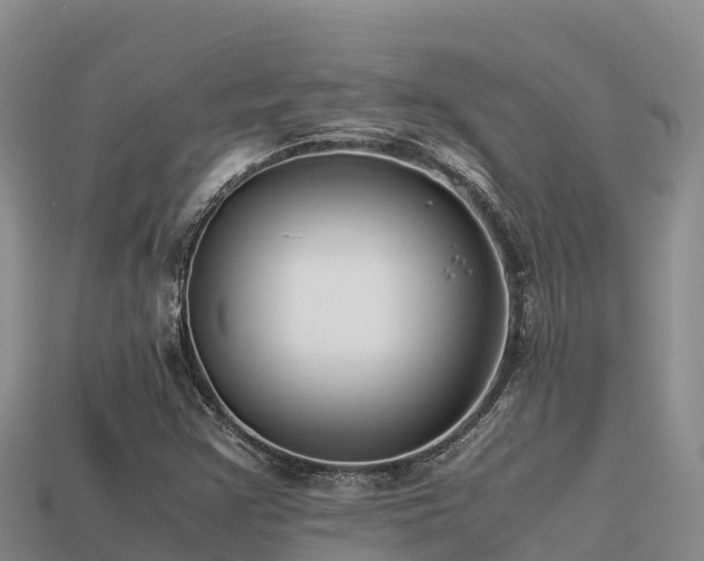 X0000113221355200909171546