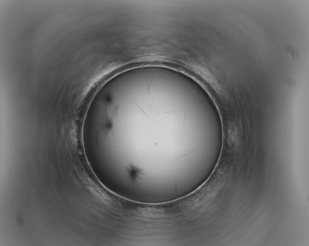 X0000113221356200909171546