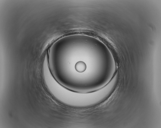 X0000113221357200909171546