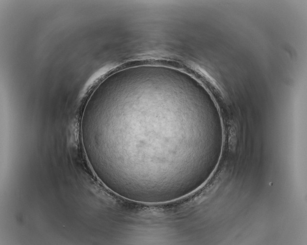 X0000113221358200909171546