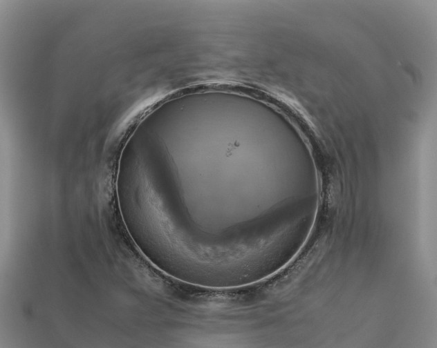 X0000113221359200909171546