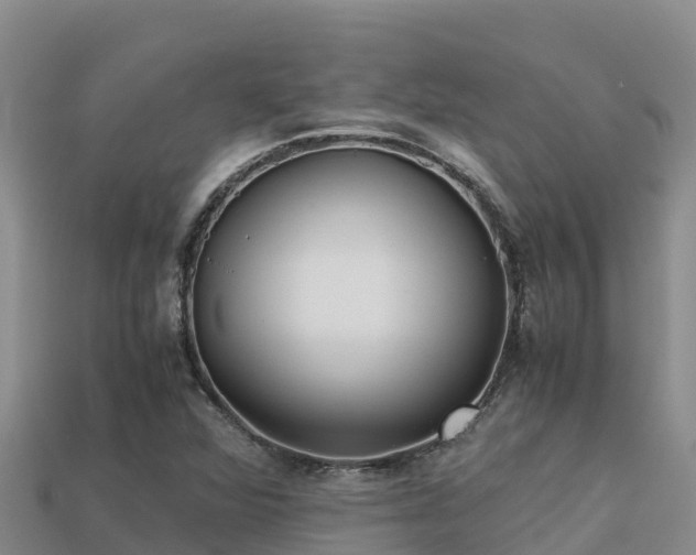 X0000113221360200909171546